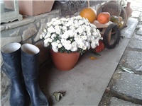 3056476e-2016-10-09 09.34.25.jpg